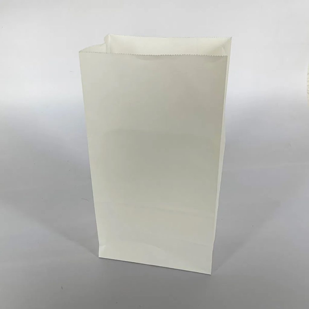 Custom Shopping White Paper Bag